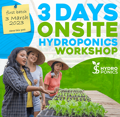Nurturing Growth Digitally for India's Leading Hydroponics Trainers graphic