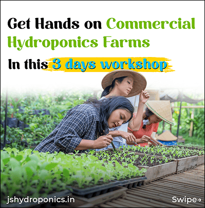 Nurturing Growth Digitally for India's Leading Hydroponics Trainers graphic