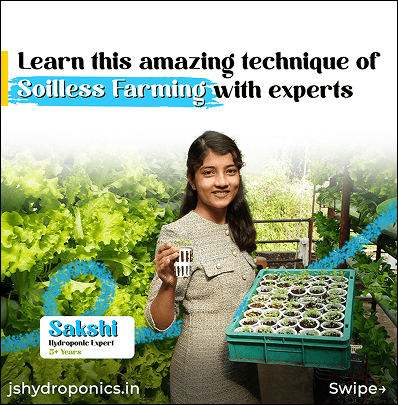 Nurturing Growth Digitally for India's Leading Hydroponics Trainers graphic