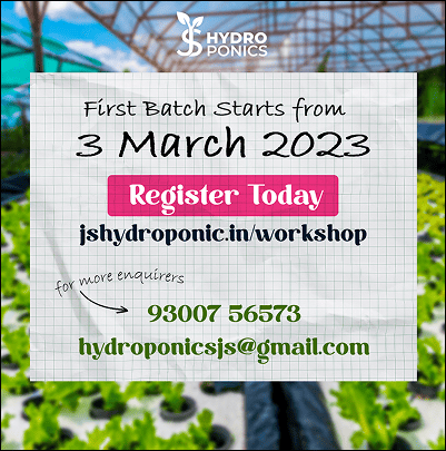 Nurturing Growth Digitally for India's Leading Hydroponics Trainers graphic